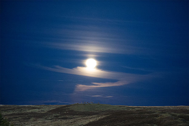Vollmond mit Hirsche